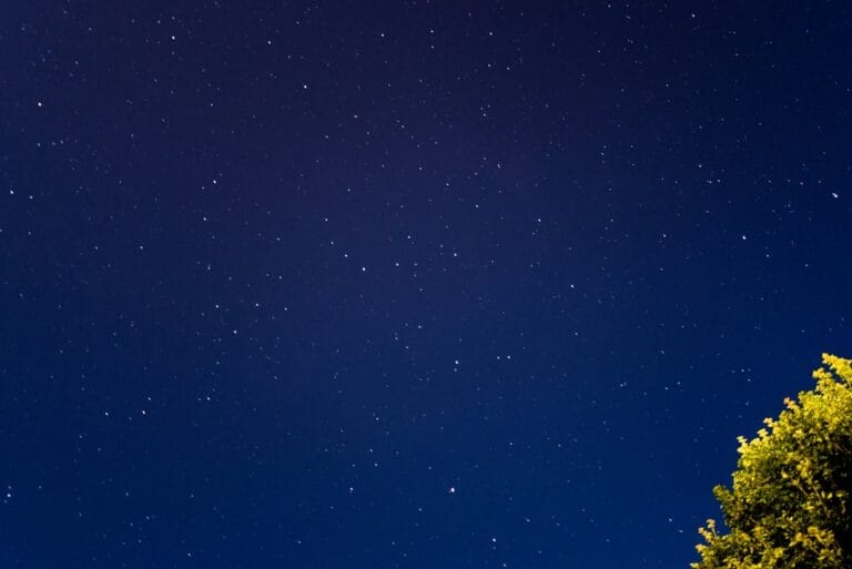 Photo Christmas Trivia Game