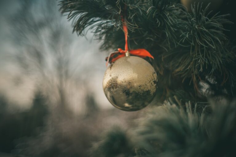 Photo Christmas Trivia