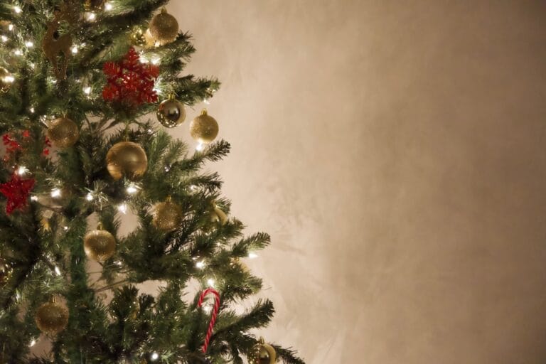 Photo Festive Trivia