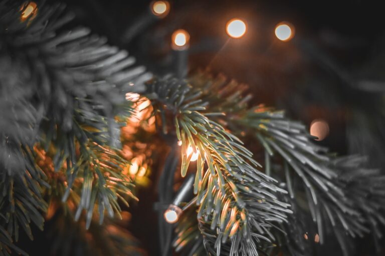 Photo Christmas Trivia