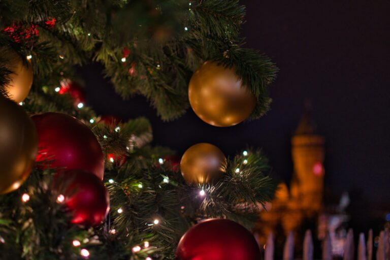 Photo Holiday Decorations