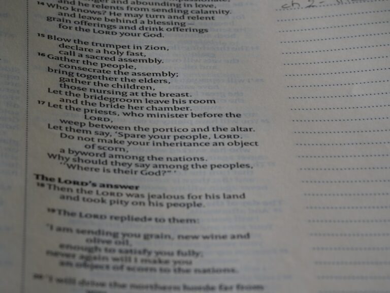 Photo Xmas Quiz Sessions