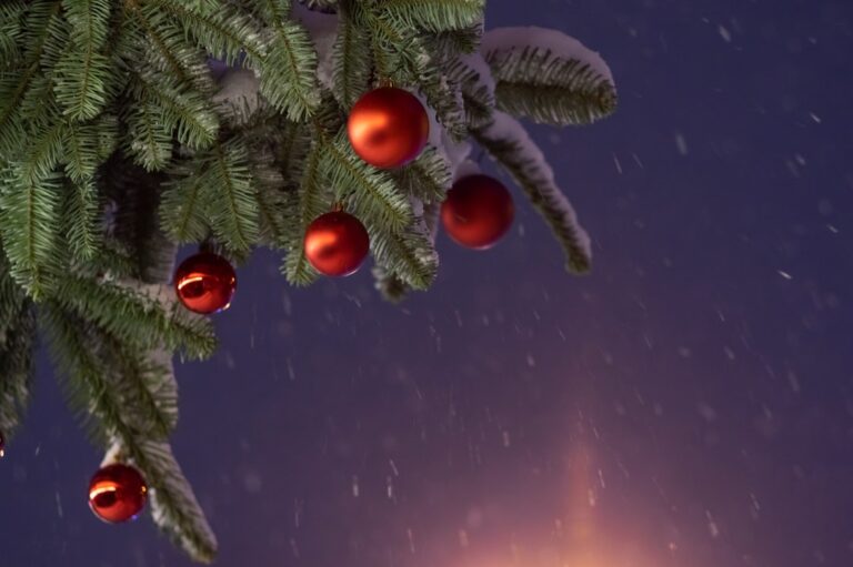 Photo Holiday-themed trivia game