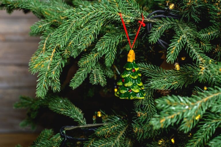 Photo Eco-friendly Christmas Tree